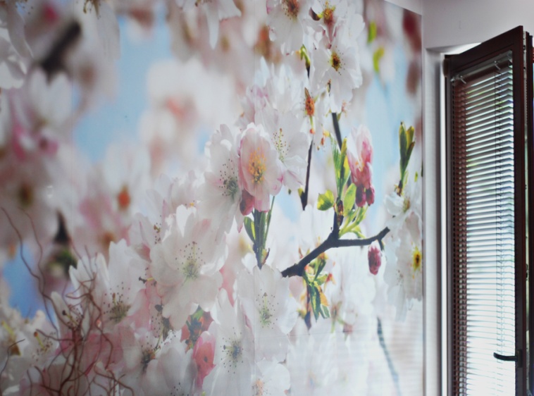 Apartament Tokio ?v=2