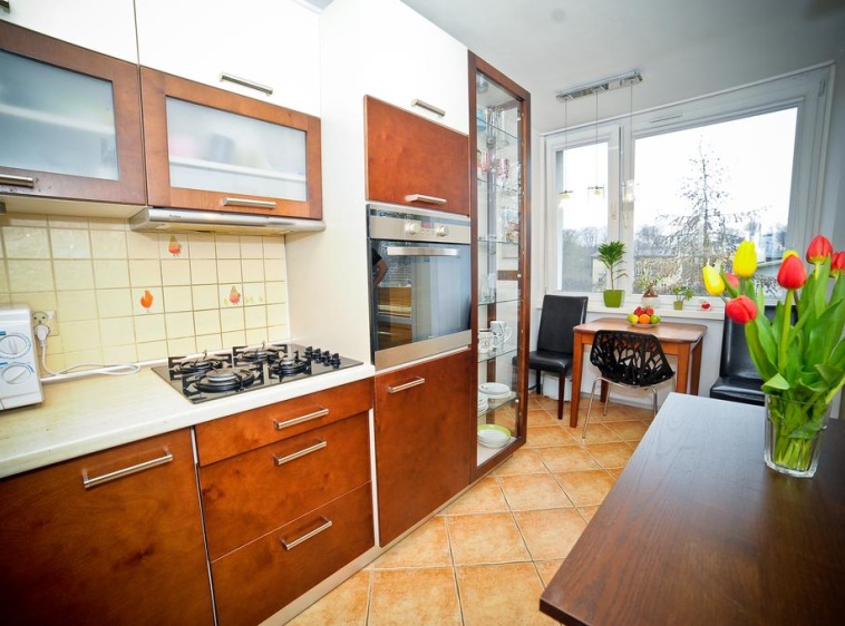 Shiny Shell Apartment Shiny Shell Apartment?v=2