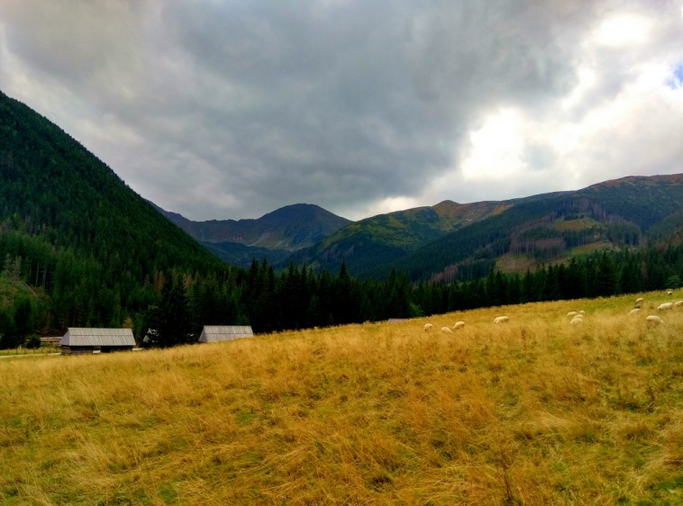 Testowy Pensjonat  ?v=2