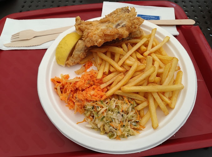 Ryba Piła i Tańczyła