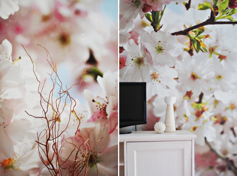 Apartament Tokio ?v=2