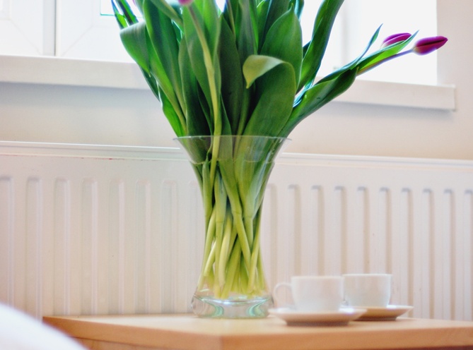 Apartament Pistacjowy Marina Apartments - Apartament Pistacjowy?v=2