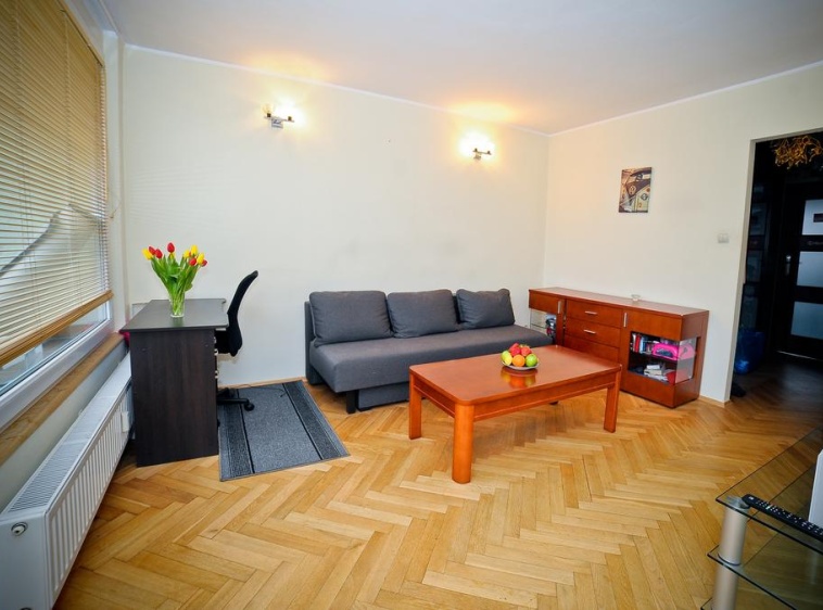 Shiny Shell Apartment Shiny Shell Apartment?v=2