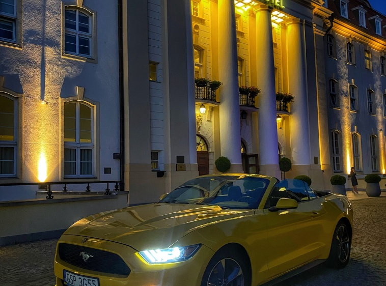 Panda Premium Cars - wypożyczalnia samochod&oacute;w